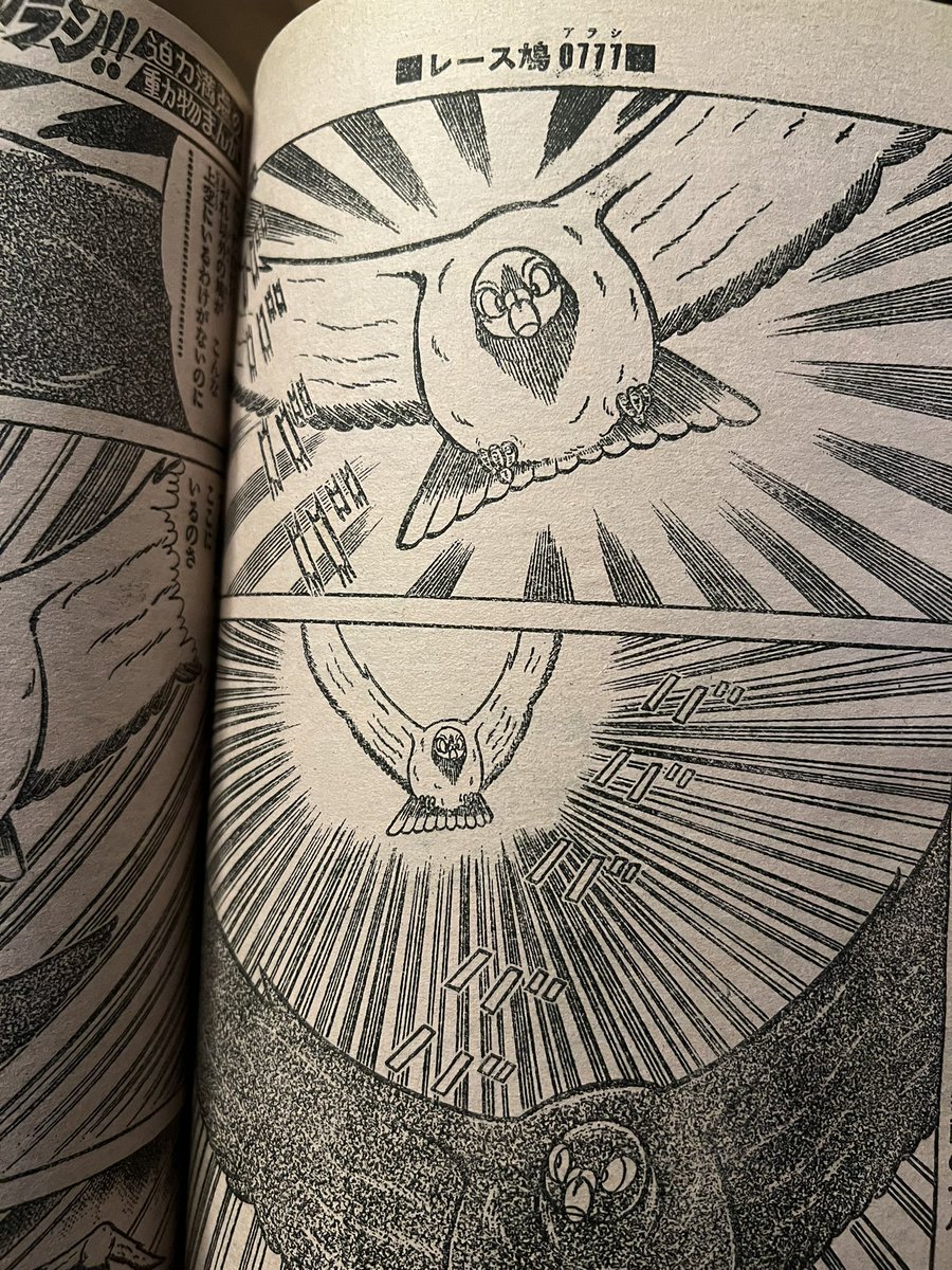 七十年代少年チャンピオンにて連載された飯森広一先生のレース鳩アラシ。後にも先にもレース鳩が主人公の漫画ってこれ以外ない気がする。今読んでも斬新。

それでは皆さんおやすみなさい🌙 