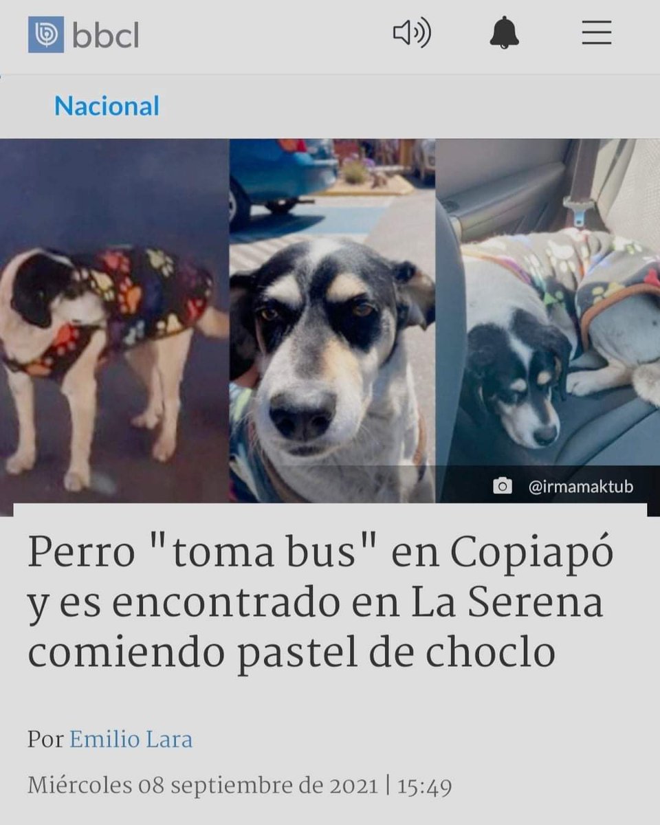 dandarindandin's tweet photo. Yo: estos periodistas estudiaron 5 años pa hacer noticias de mierda.
Yo tambien: uuuuh compartir https://t.co/It7aaagtz6