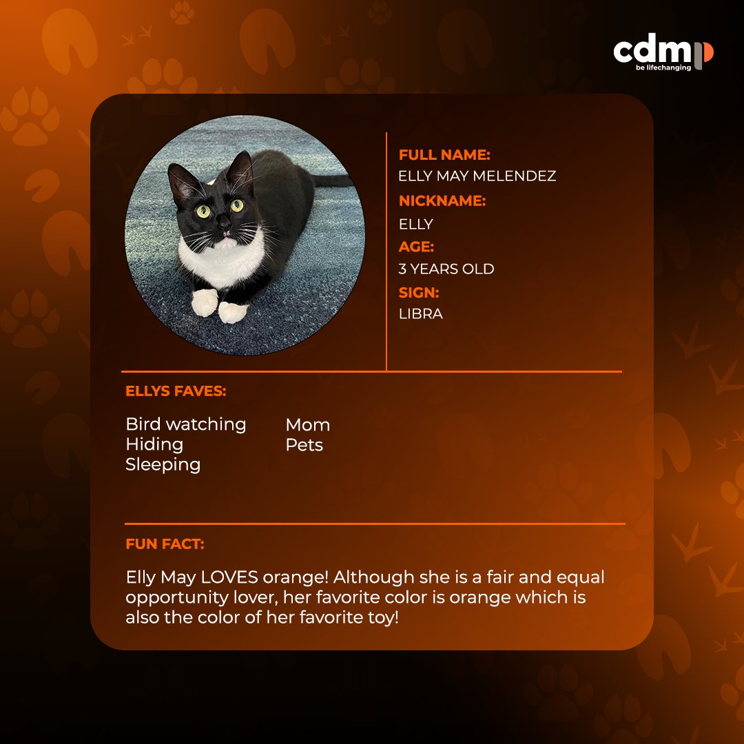 cdmp tweet media