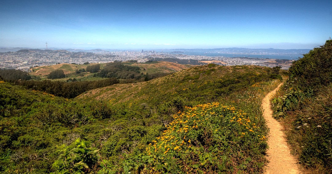 SMCParks's tweet photo. Join us tomorrow for a Bioblitz at San Bruno Mountain!
This event will be from 9-11 AM. Hope to see you all there!
π· San Bruno Mountain summit loop trail
#californiabiodiversity #parksforpollinators https://t.co/vO5jpQwjyY