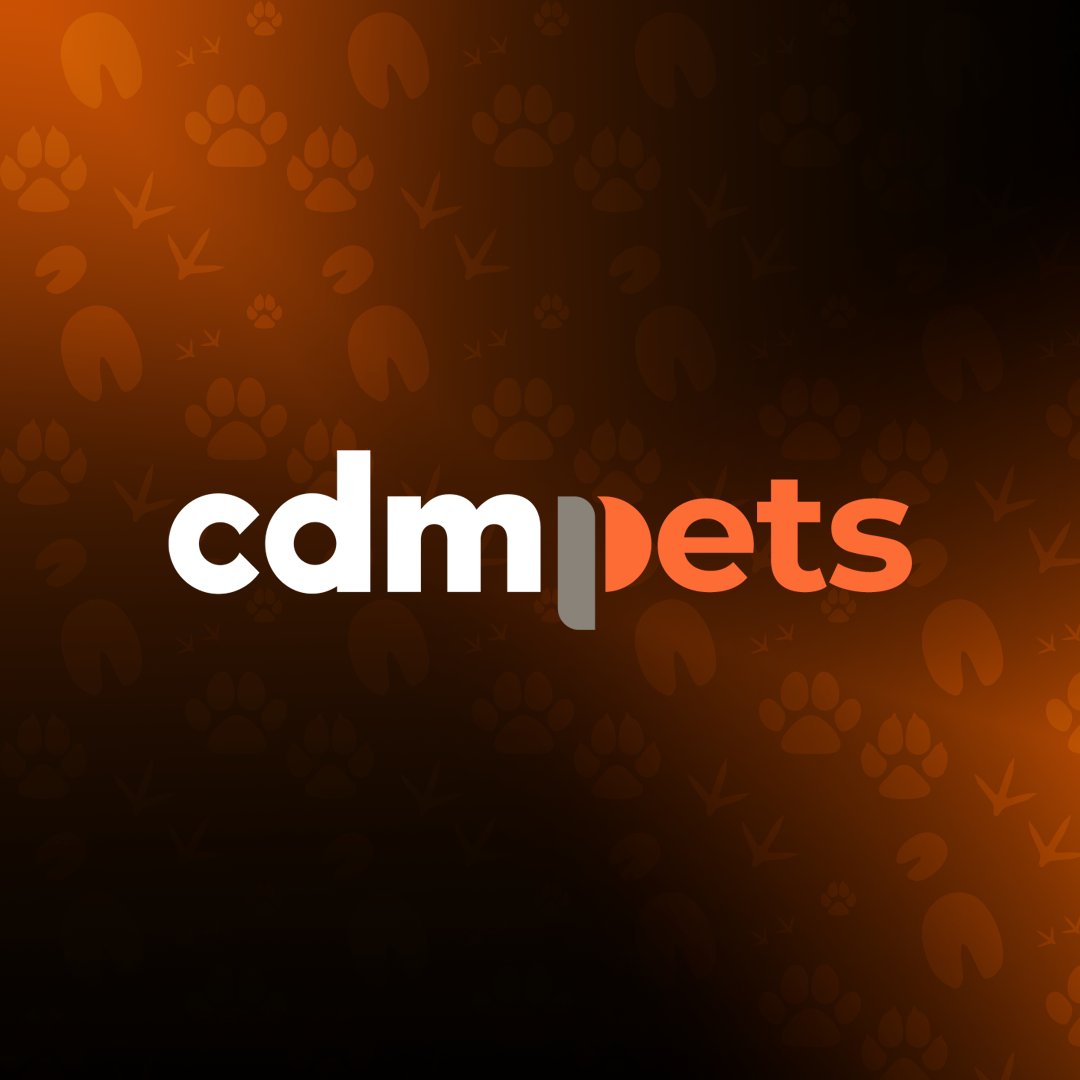 cdmp tweet media