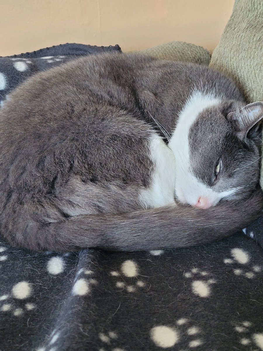 Losing lots of followers. And someone called me ugly. Twitter is rough lol. Hi friends 🤗 sorry haven't been on much. I'll try to be more active