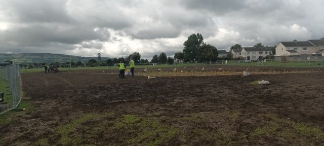 TallaghtComCo's tweet photo. Delighted to support SDCC and DURL by planting trees in the new Dodder Valley wetlands 🌱 #DURL #SDCC #Wetlands https://t.co/0kGoy5x4c7