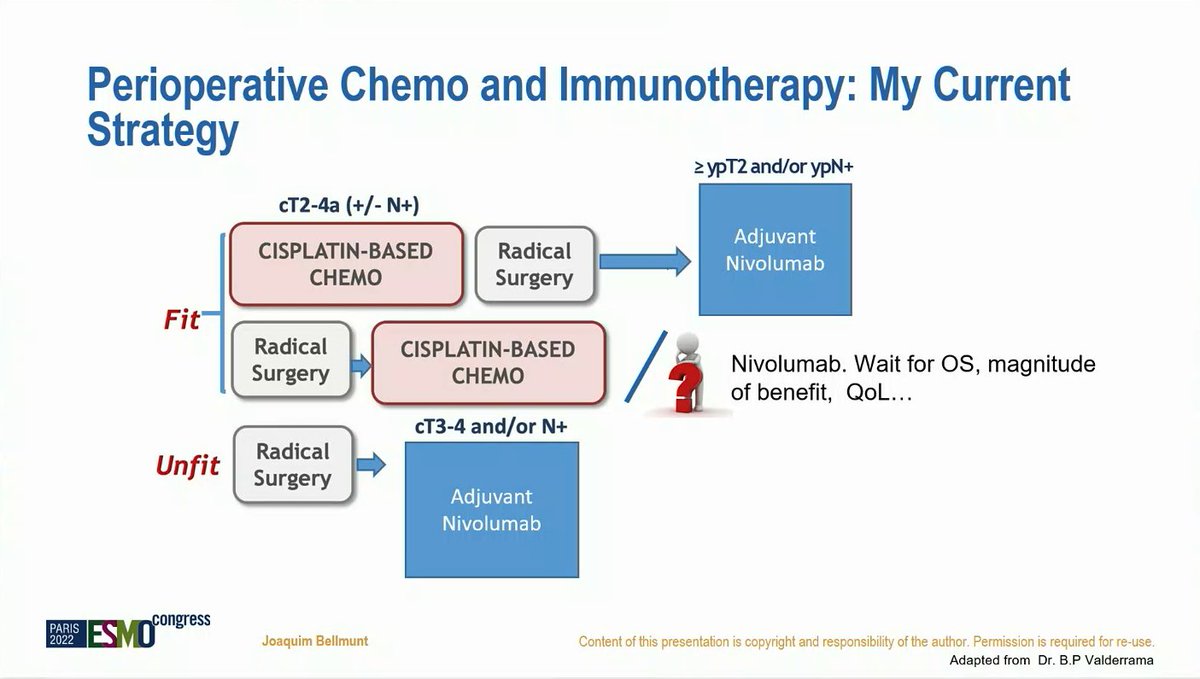 yekeduz_emre's tweet photo. An excellent summary of the approach to patients with muscle-invasive bladder cancer in the periop setting!

@OncoBellmunt @myESMO #ESMO22 @OncoAlert @DrYukselUrun @drenriquegrande @ERPlimackMD @urotoday https://t.co/DhHhbz3dh3