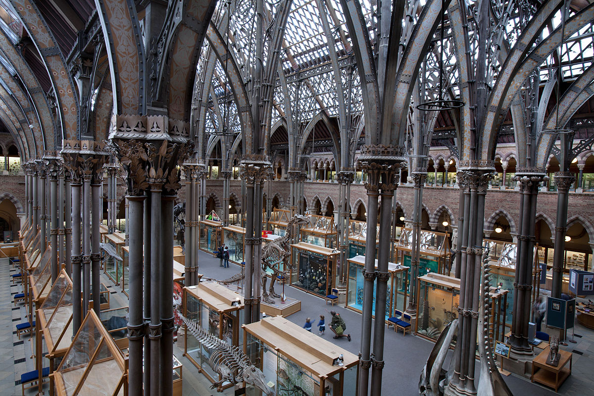 Keep the young ones entertained this week... Learn about the extraordinary eating habits of different animals at @morethanadodo or try out an interactive story song time about Oxford hero, Sarah Cooper, over at @MuseumofOxford. More info: dailyinfo.co.uk/whats-on