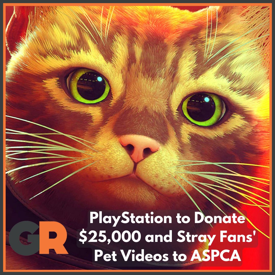 GameRant's tweet photo. PlayStation is donating money to the @ASPCA and asking for fans to use #StrayReactions to share videos of their furry friends reacting to #Stray. Get those tails wagging and cats meowin'! https://t.co/tqbP0JMKjn https://t.co/4JyyQTeHna
