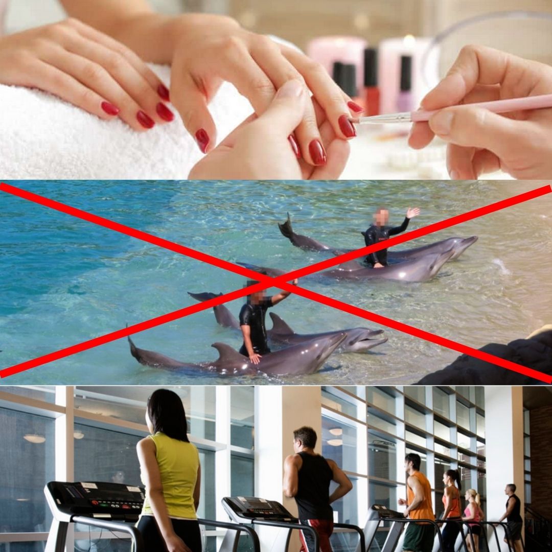 kwisey's tweet photo. Hey @Groupon, I'm no longer using your website for any offers until you stop selling #devastatingdeals like captive dolphin shows. https://t.co/r7zjcJ47oY