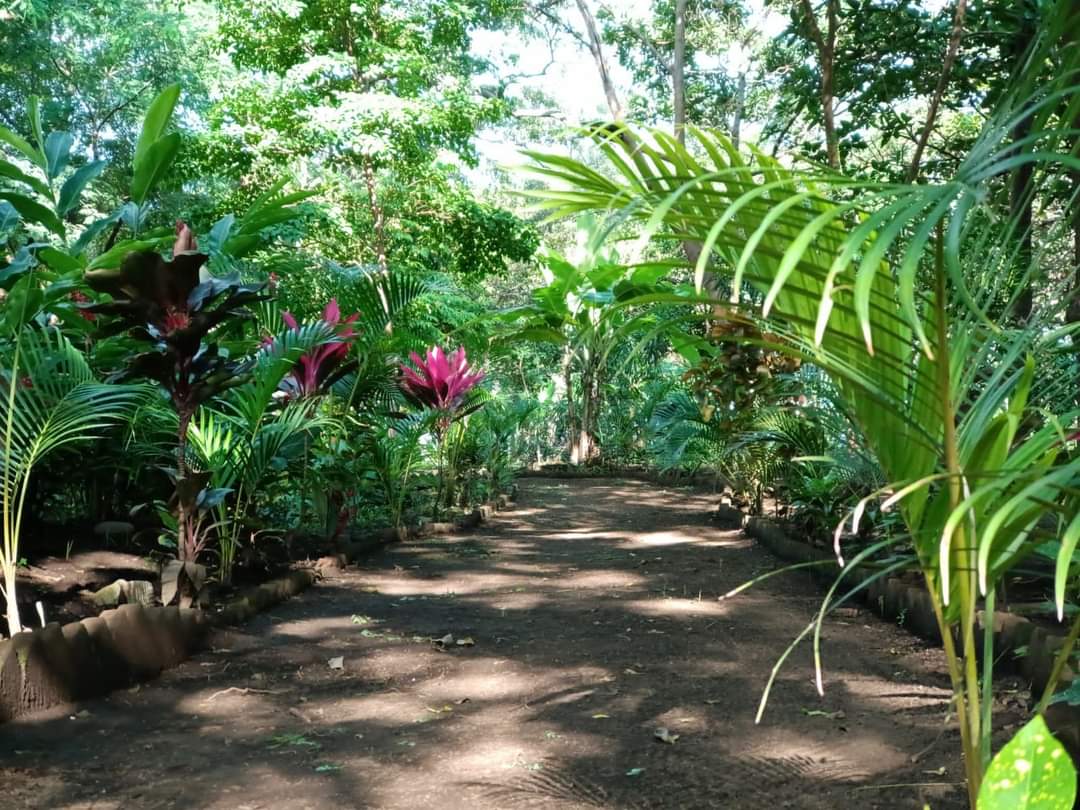 🚨Esta tarde será inaugurado el hermoso Parque Natural Jardín del Edén, en el municipio de Ticuantepe ubicado en Comunidad La Borgoña, en los próximos meses iniciará la construcción del mariposario t senderos. 🦋🌿🌻
#PatriaBenditaYLibre
#Nicaragua 

<a href="/Xeras_BD/">❤ ⓍⒺⓇⒶⓈ 🖤</a> 
<a href="/nic_melcocha/">❤️Cmdte🍭Melcocha🖤</a>