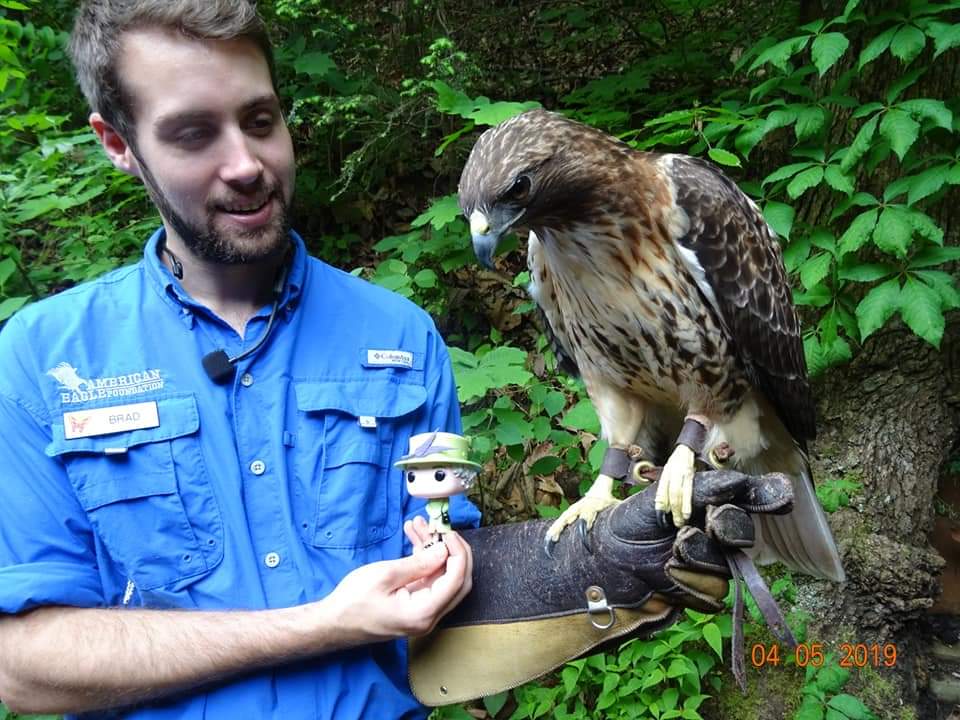 jac9815's tweet photo. @AEFeagles Glad to hear, fond memories when visiting Dollywood in 2019 https://t.co/Epc4C15QkK