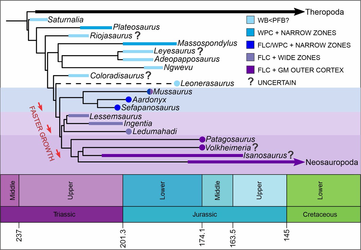 Jennifer Botha tweet media