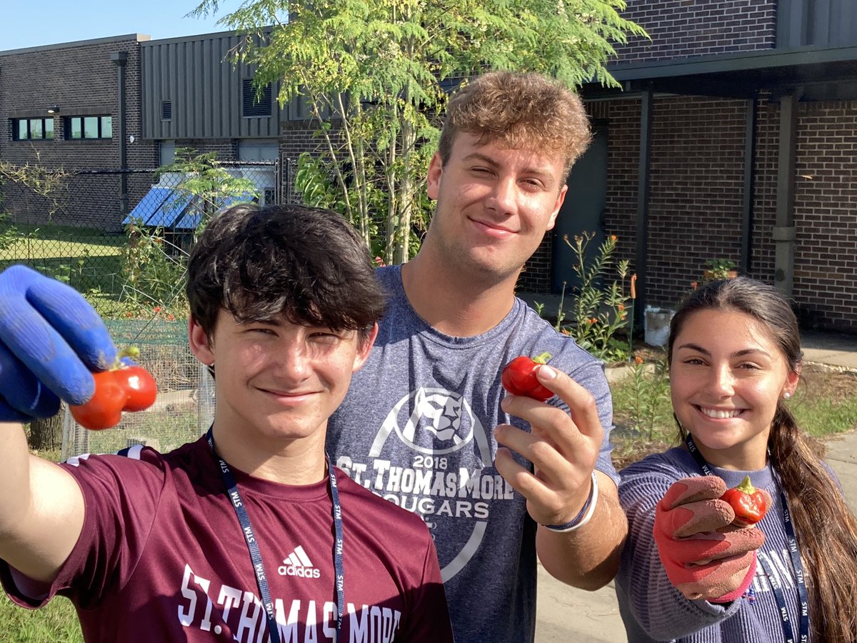 STM Env Science tweet media