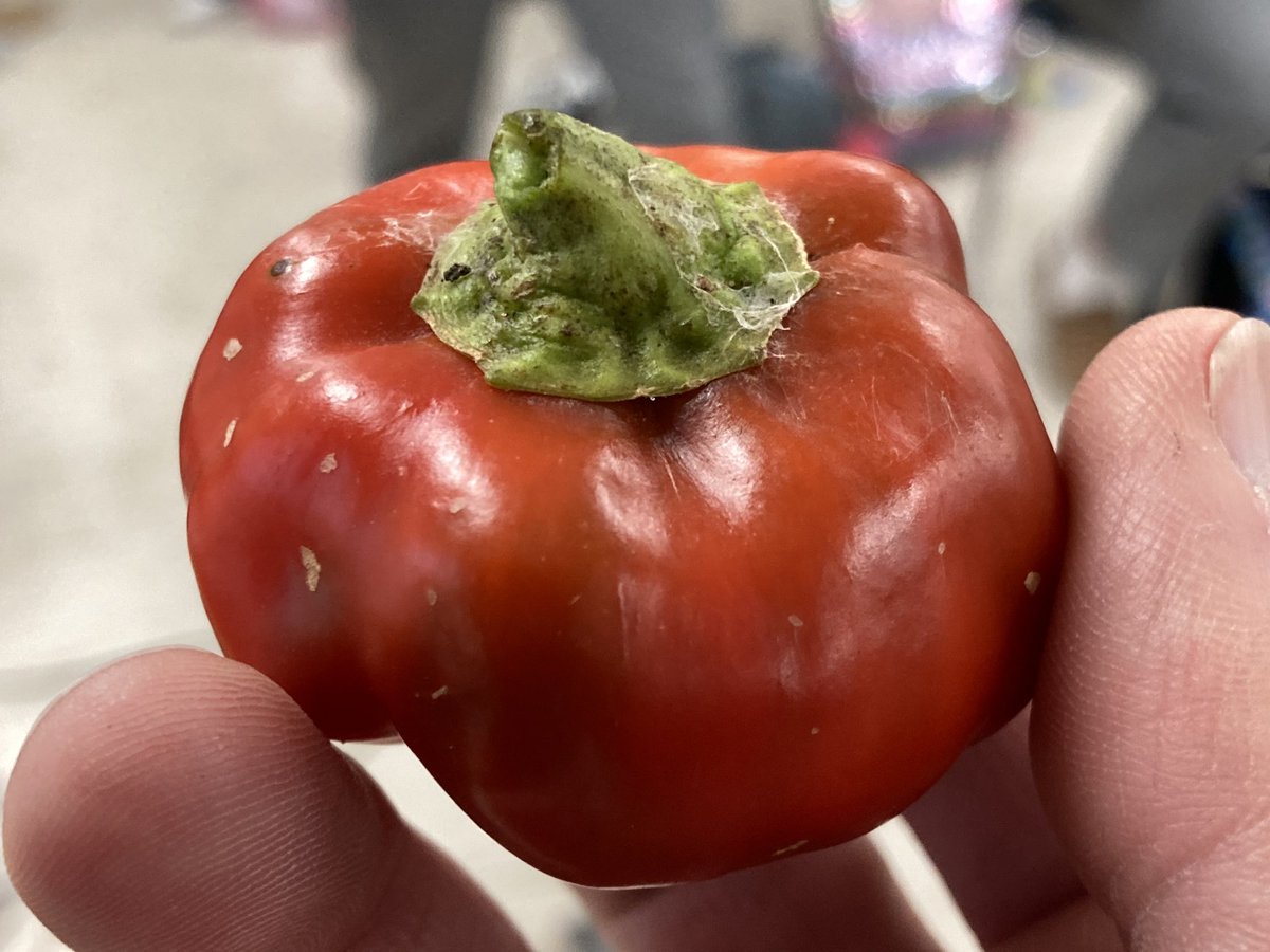 STM Env Science tweet media