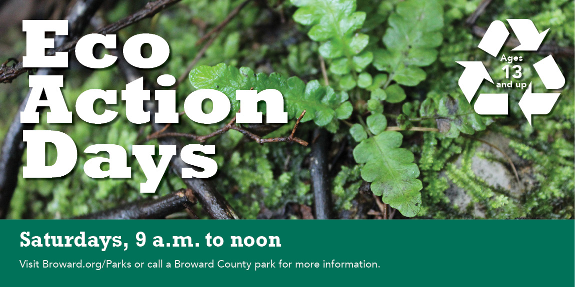 If you enjoy the great outdoors and you need service hours, <a href="/BrowardParks/">Broward County Parks</a> hosts Eco Action Days most Saturdays from October-May. First Saturdays, it's Fern Forest, Long Key, and Miramar Pineland.