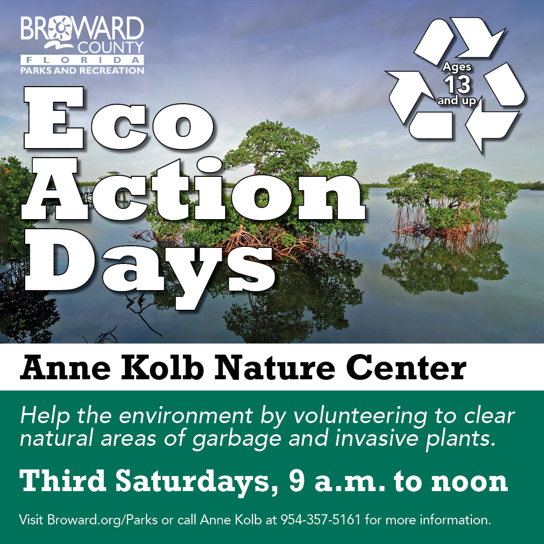 BrowardParks's tweet photo. EcoActionDay at #AnneKolb this Saturday! Call the park, 954-357-5161, to volunteer to clear natural areas of invasive plants and garbage. Do the planet some good and earn #CommunityServiceHours!
@BrowardParks #Volunteer @COHgov https://t.co/OE5zaTRWAL
