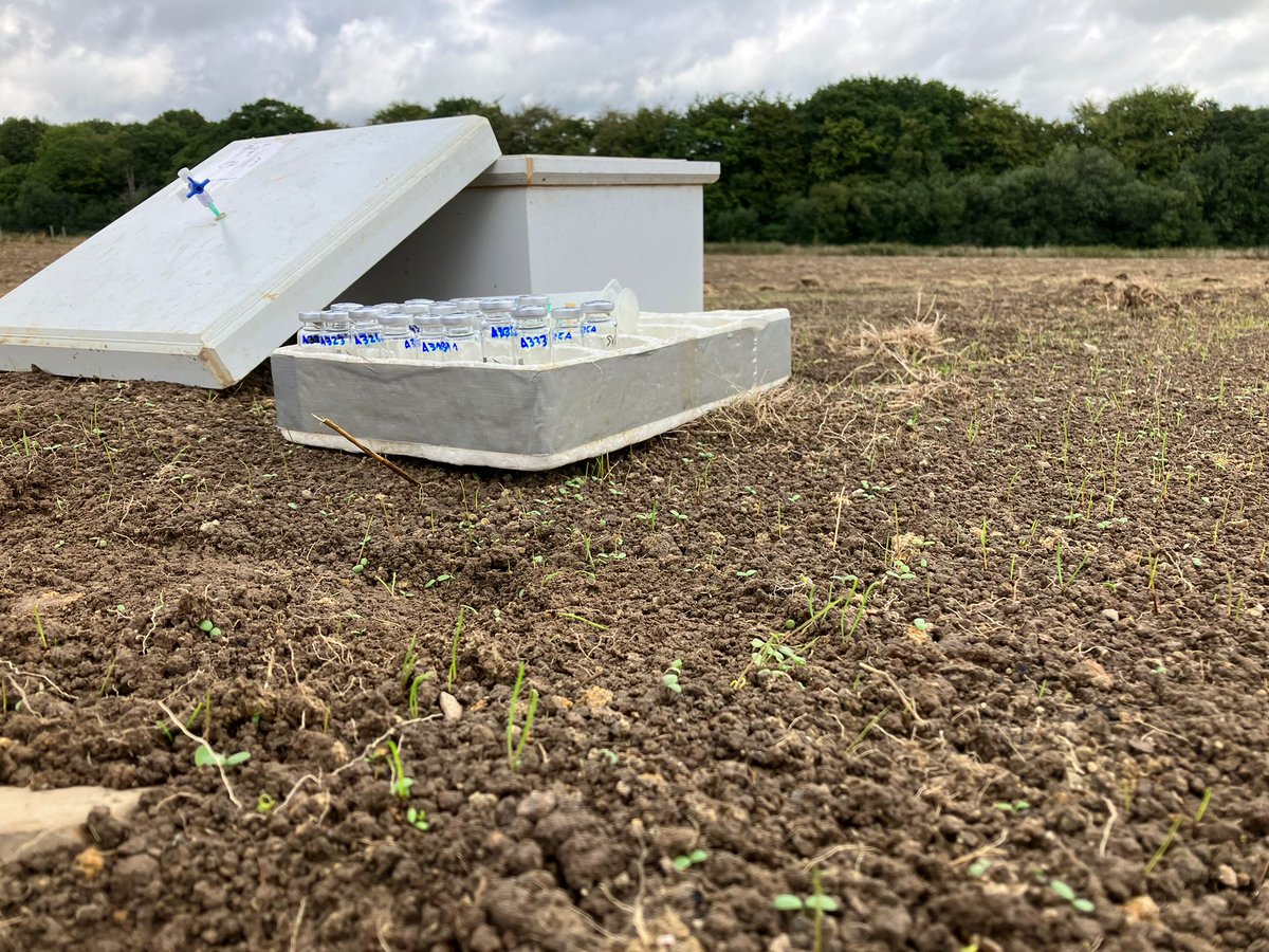 Jordana🌱🐮🐑☘ tweet media