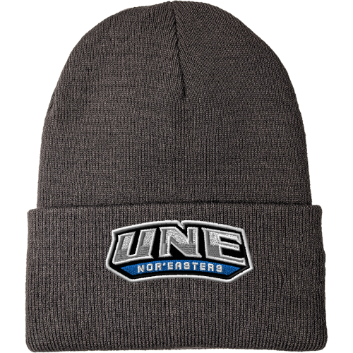 UNE Men's Basketball tweet media