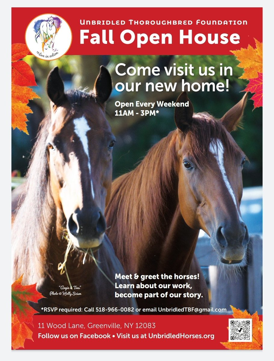 UnbridledTBF's tweet photo. EVERY WEEKEND ... Come on by and meet #TheHorsesOfUnbridled, hear their stories, discover their awesomeness and learn how you too can help to protect and save horses 🐴💕
JOIN US FOR OPEN DAYS &amp; READ TO THE RESCUES. RSVP ON EVENTBRITE: https://t.co/24kSScGQZY https://t.co/W8qyO4so4b