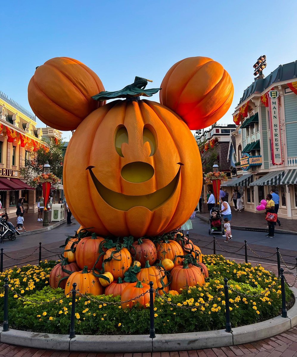 Javier Sparks tweet media