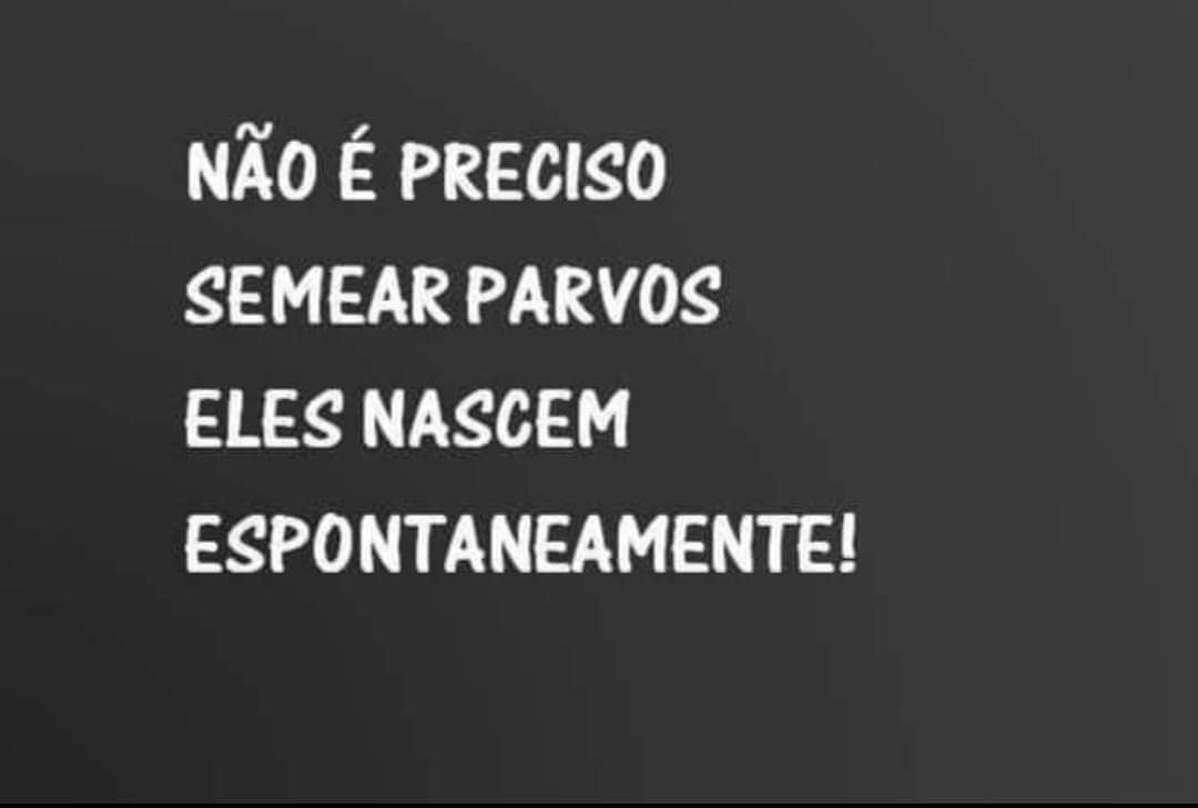 Margarida Fonseca tweet media