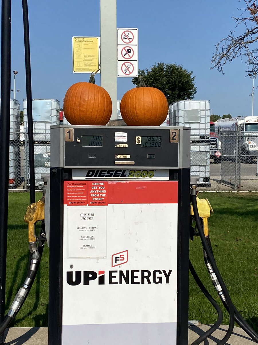 UpiKristine's tweet photo. Pumpkins have arrived!!! 🎃🎃🎃 https://t.co/yYflvEY0LE