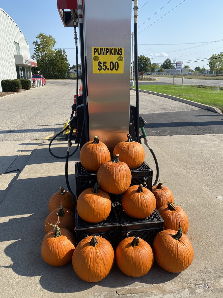 UpiKristine's tweet photo. Pumpkins have arrived!!! 🎃🎃🎃 https://t.co/yYflvEY0LE