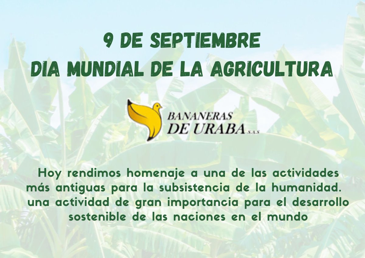 Jorgew91's tweet photo. Hay muchas maneras de reconocer la ardua labor de los agricultores que garantizan la seguridad alimentaria global.  Este es un buen momento de  hacerlo.  @AuguraColombia @FAOwbf @ICACOLOMBIA @mincultura https://t.co/FHtCfHqq8b