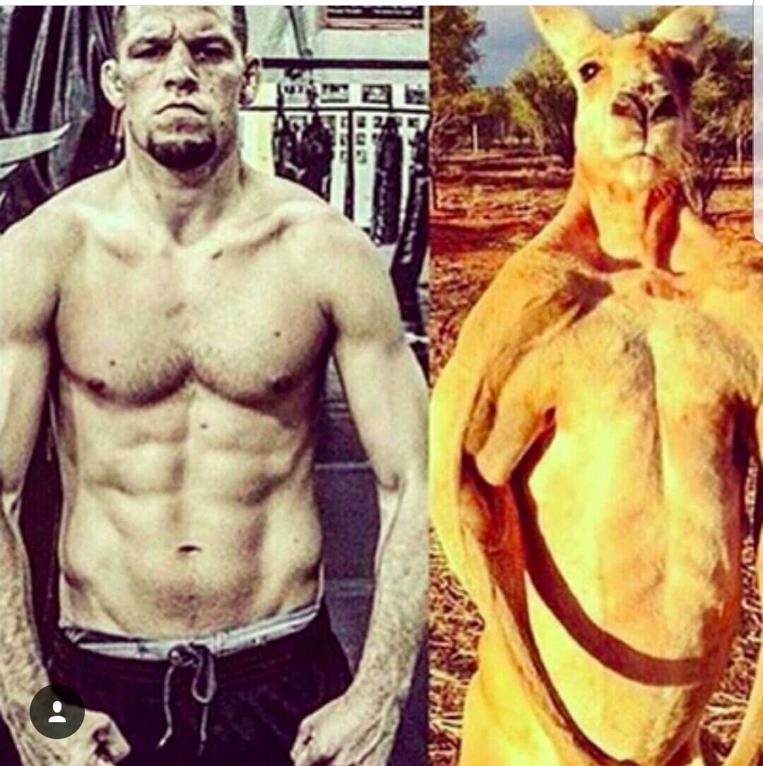 pamdoraboxx's tweet image. It&apos;s almost time!
#NickDiazArmy