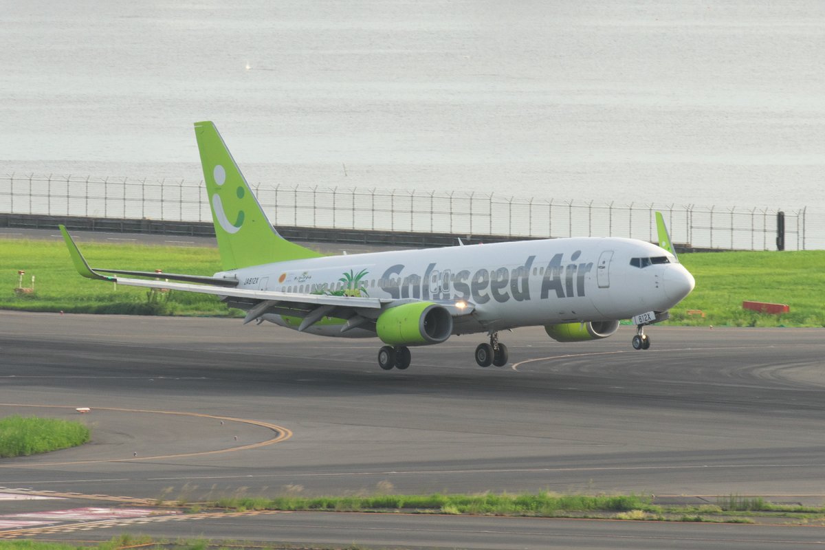 TallahasseeGo tweet media