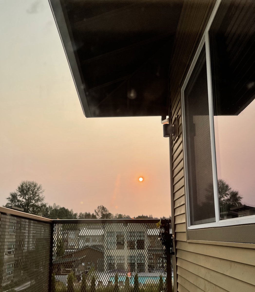 Apocalypshit tweet picture