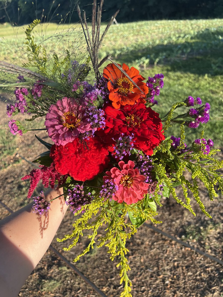 Green Loop Marketing (@greenloopmktg) on Twitter photo A picture perfect evening on the farm for the <a href="/IndyUrbanAcres/">Indy Urban Acres </a> #FlowersthatFeed event 💕 don’t miss the next event on October 1! bit.ly/3PGL5re
💐 Indy Urban Acres
🍽 Yamallama Delicatessen
🥂 8th Day Distillery A picture perfect evening on the farm for the <a href="/IndyUrbanAcres/">Indy Urban Acres </a> #FlowersthatFeed event 💕 don’t miss the next event on October 1! bit.ly/3PGL5re
💐 Indy Urban Acres
🍽 Yamallama Delicatessen
🥂 8th Day Distillery