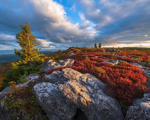 josephrossbach's tweet photo. New artwork for sale! - "Bear Rocks Autumn Vista" - https://t.co/jE5sXH2i4e @fineartamerica https://t.co/iUH1KaRhUJ
