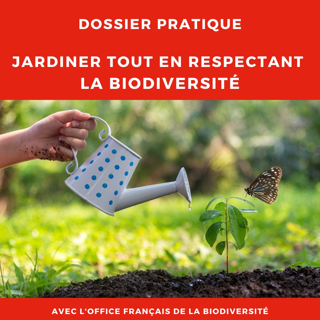 Conso_INC's tweet photo. [#Biodiversité 🍀🐞] Privilégier le #paillage naturel, utiliser du terreau sans #tourbe… #jardiner tout en préservant la faune et la flore, c'est possible.
Infos pratiques et conseils de l'@OFBiodiversite dans cette série  #ConsoMag ➡️ https://t.co/rm0NbwZno8
#MaBiodiversite https://t.co/Io942bD2v1