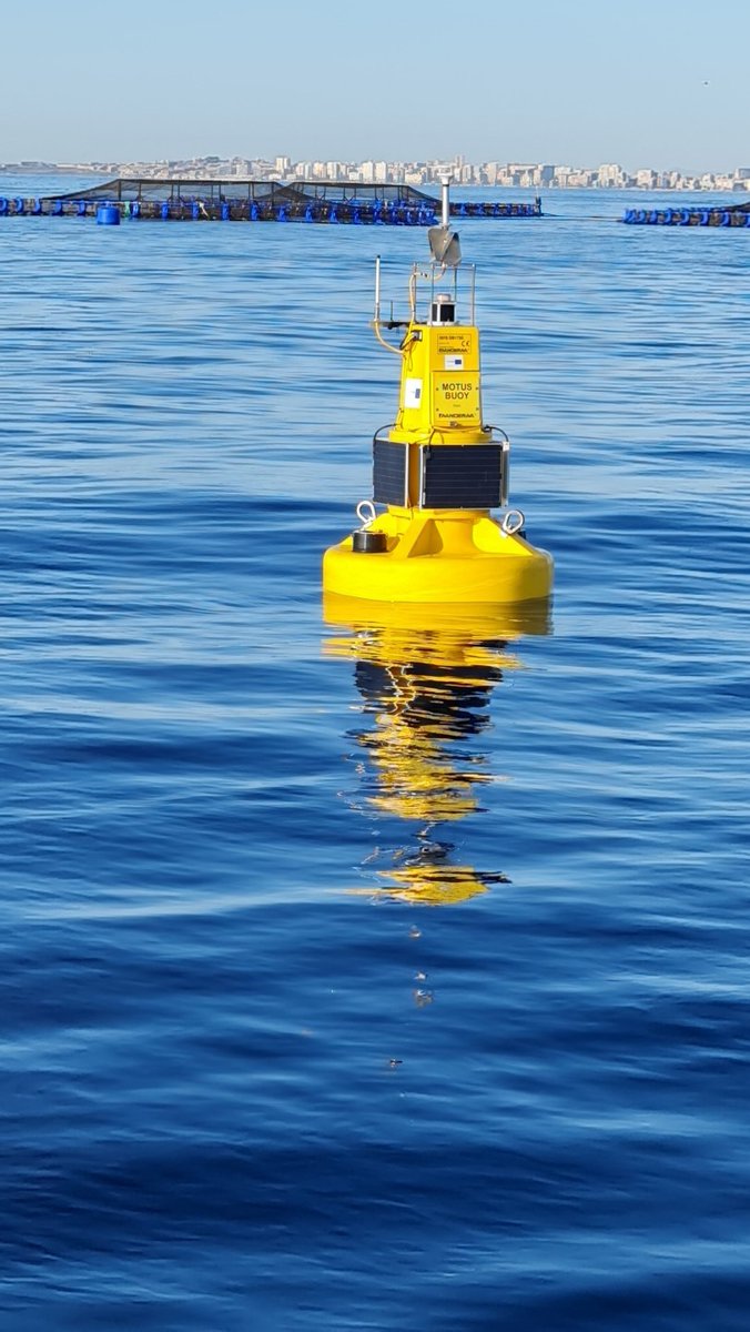 And just like that new #EuroSea buoy has been deployed! It will provide critical data on #ocean health for #blueeconomy users 🌊🩺 🙋‍♀️🙋‍♂️🙋 Many thanks to our partners @Xylem & @ICMAN_CSIC as well as @corvina_rex & #SIDMAR! 🙌 #oceanobserving