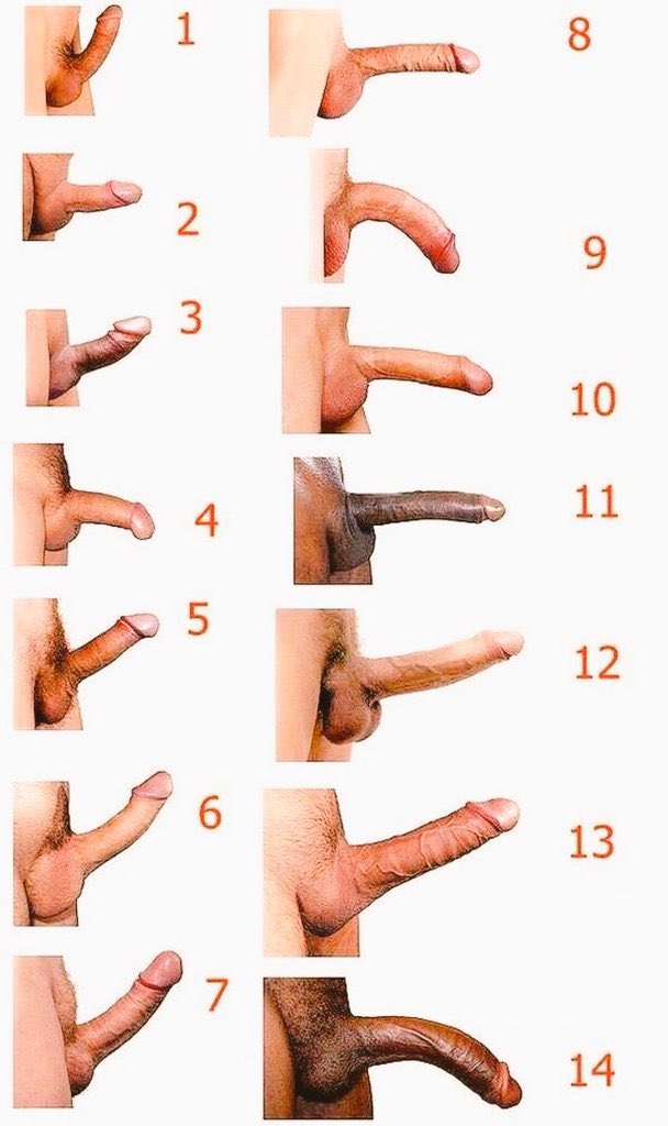 TamaraSissy's tweet photo. Y tu quien eres? 😏... chicos suban evidencia y chicas escojan 😈 https://t.co/fPqxIoygtH