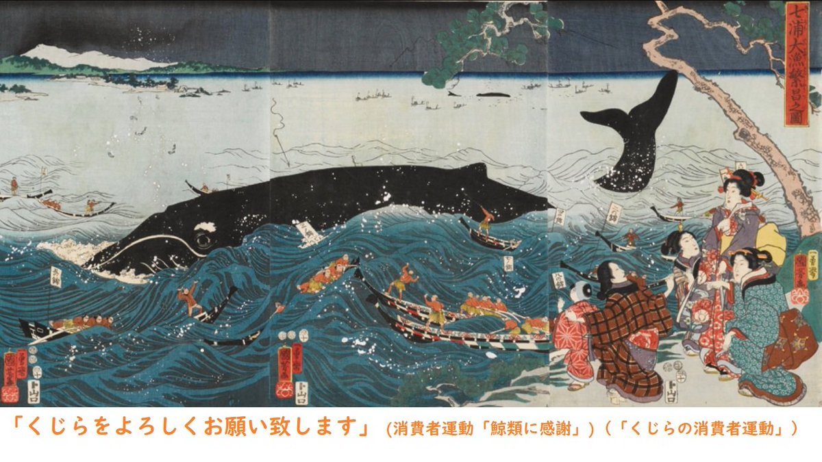 鯨類に感謝 Thanks Cetacea（くじらの消費者運動