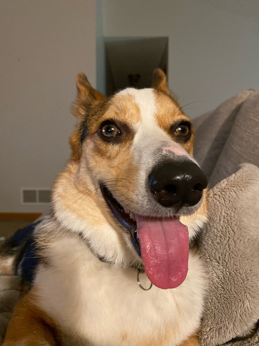 Matt | Subby tweet media