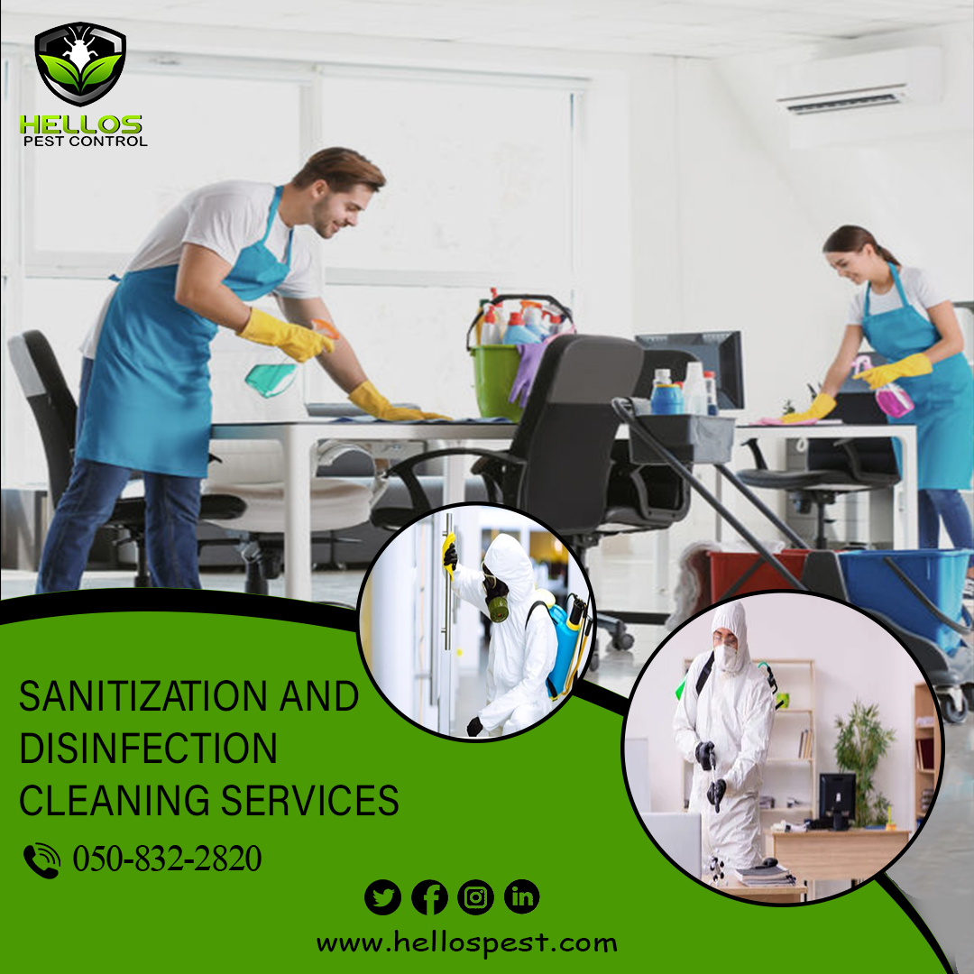 Book Sanitization And Disinfection service from hellos company.

To know more visit: //www.hellospest.com

Call/WhatsApp: +971 50 832 2820

#disinfection #disinfectiondubai #sanitization #sanitizationabudhabi #disinfectionservices #officedisinfection #homedisinfection