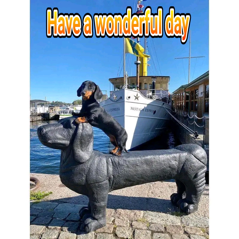 freddy (@freddy1963mail1) on Twitter photo 