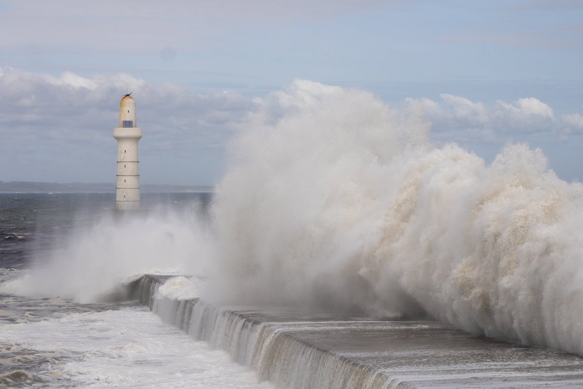 Hi chums..🐶.. Been out with Dad &amp; his camera today. Not going in there..🤪..
#DogsofTwittter #DogsAreFamily 
#dalmatian ❤️