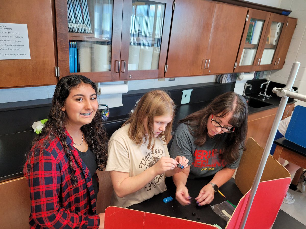 Whitney Freund tweet media