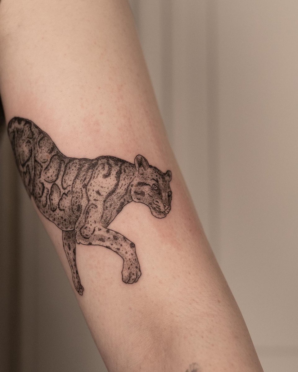 MaisonPython's tweet photo. Panthère et léopard des neiges par Chatoyant #leopardtattoo #tattoo #paristattooshop https://t.co/kHP4UOGbj3