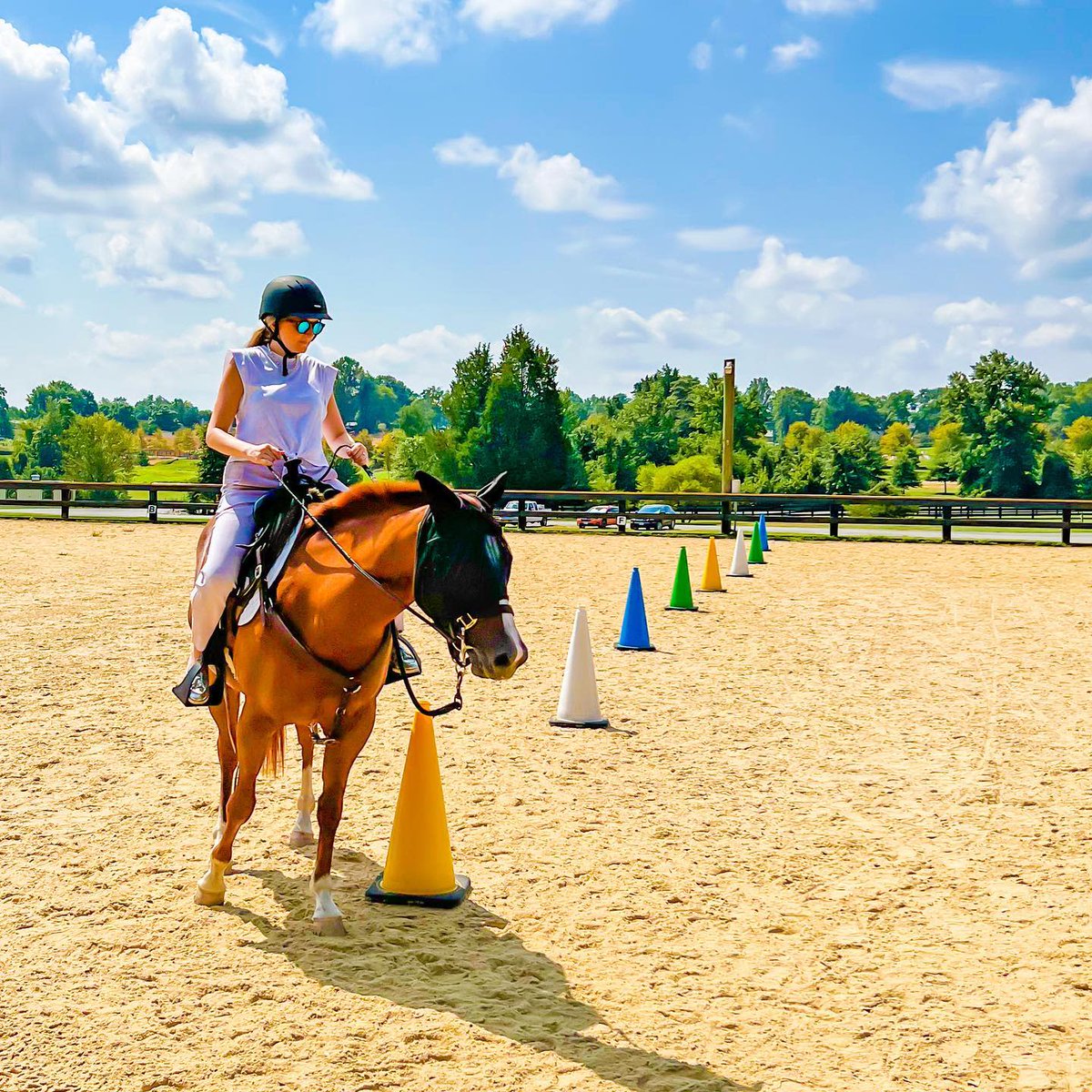 SalamanderVA's tweet photo. Learn the riding ropes in your own private lesson. #bySalamander #horsebackriding #ridinglesson
πΈ IG: dr_fotini https://t.co/nxFLAzu1Jz