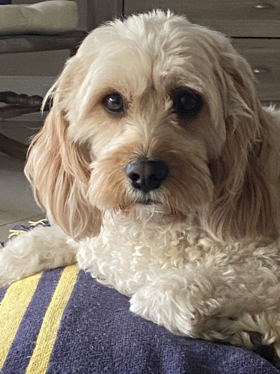 Jeanette Doyle RN☮️🌊🌊🌊 tweet media