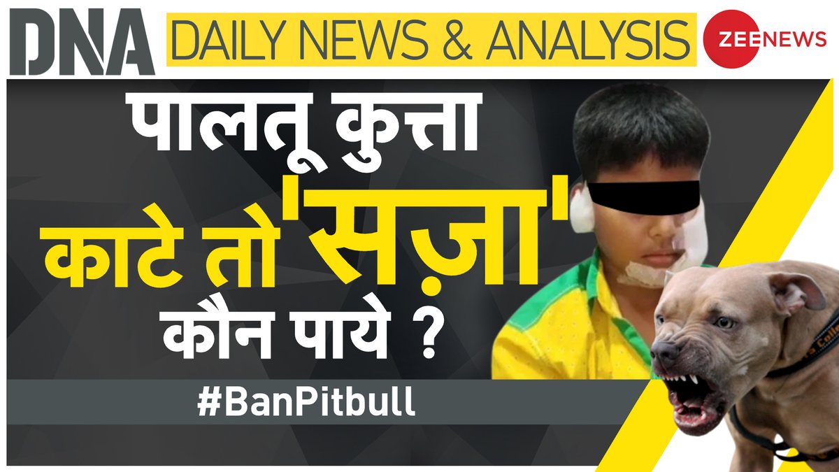 ZeeNews's tweet photo. पिटबुल पर कोई 'गलतफहमी' मत 'पालना'

#BanPitbull पर ट्वीट कर दें अपनी राय 

देखिए #DNA LIVE रात 9 बजे @irohitr के साथ https://t.co/nuXIIRd5do