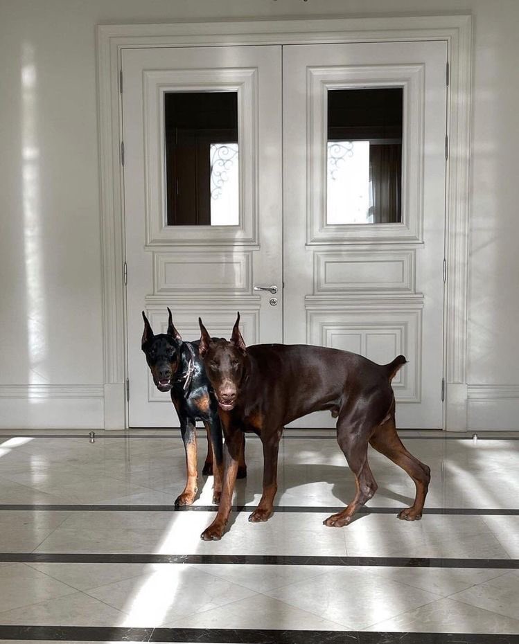 Blest ♰ Boys (@blestboys) on Twitter photo 