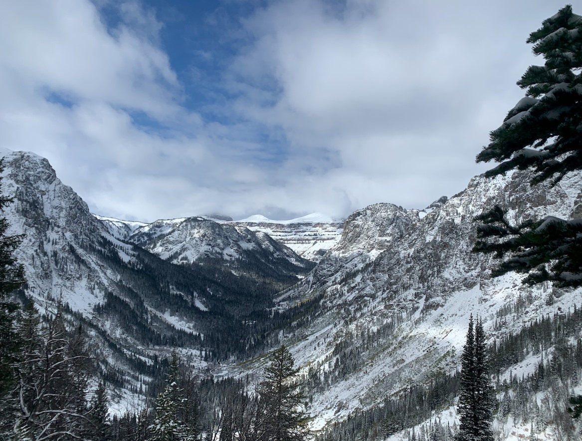 TheBookofHelp_'s tweet photo. Always take a second to look around at nature and take in all the natural beauty 🗻🍃
#thebookofhelp #memoir #fridayfeeling #selfcare #selfhelp #books #travel #travelphotography #quotes #quote https://t.co/Bd6hyxdTkb