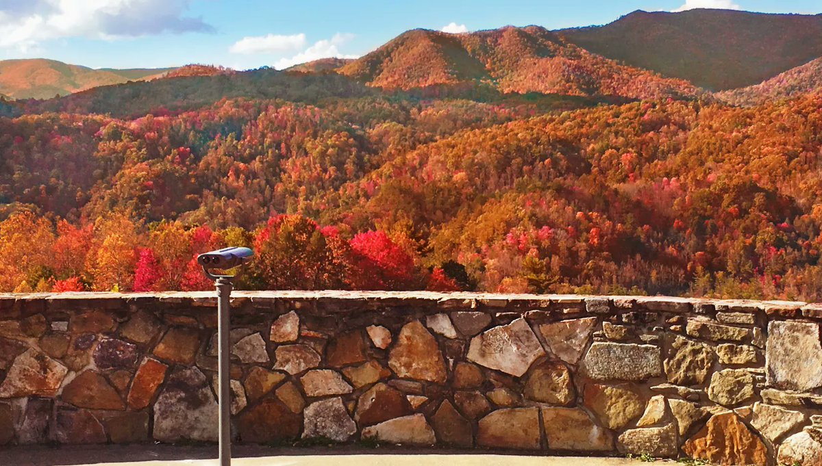 Tennessee Vacation tweet media