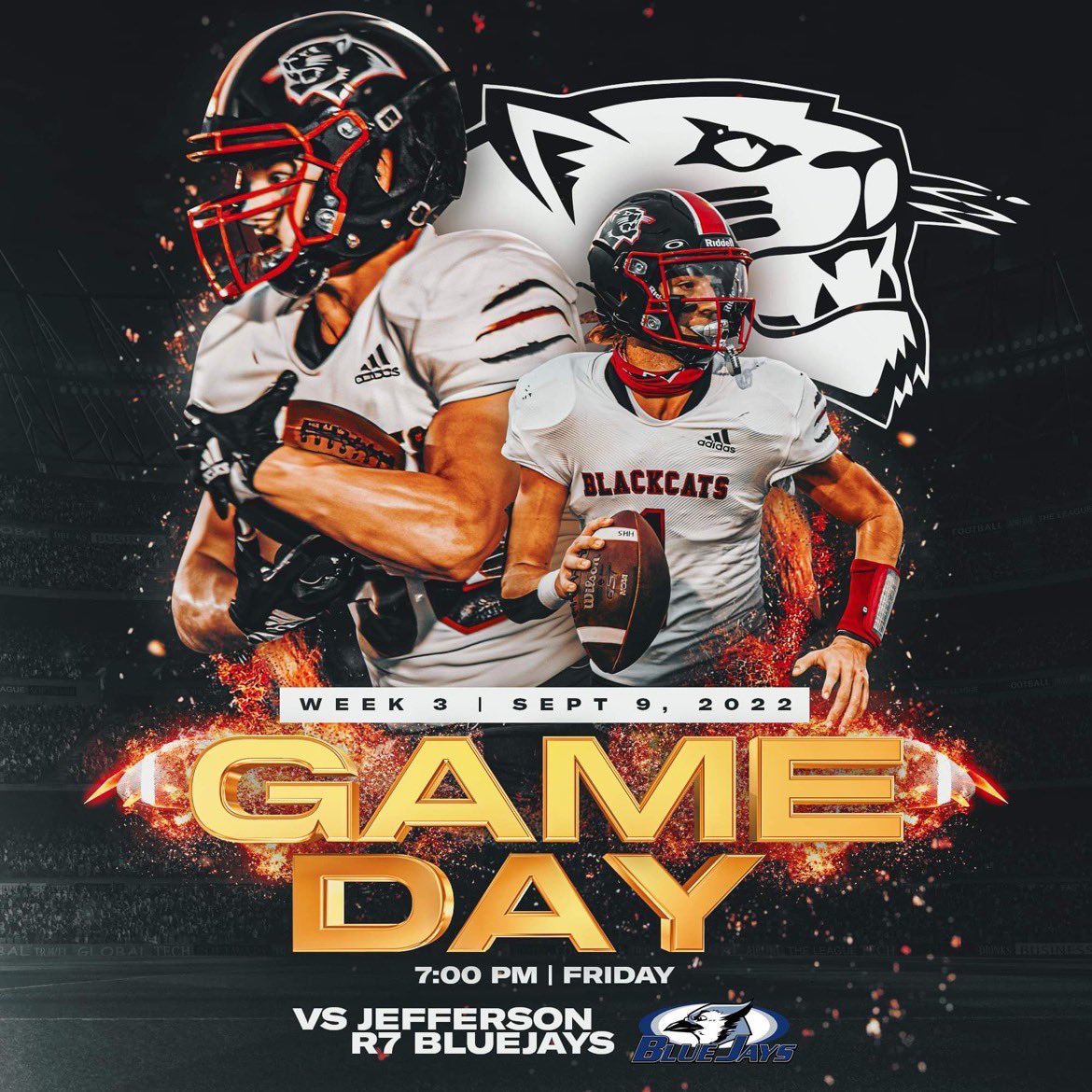 Blackcats Updates tweet media