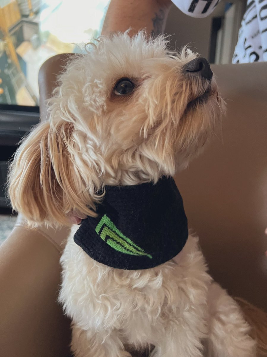 Sondre Gjerde tweet media