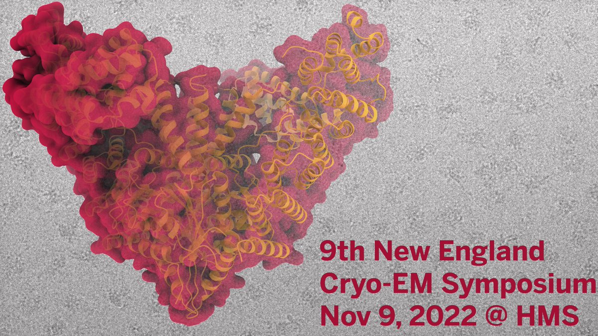 Lucas Farnung (@lucasfarnung) on Twitter photo The 9th New England Cryo-EM Symposium will be hosted this year at Harvard Medical School on Nov 9th, 2022. We look forward to welcoming researchers from New England and beyond to <a href="/harvardmed/">Harvard Medical School</a>! More details and registration: tinyurl.com/2xtyauzx The 9th New England Cryo-EM Symposium will be hosted this year at Harvard Medical School on Nov 9th, 2022. We look forward to welcoming researchers from New England and beyond to <a href="/harvardmed/">Harvard Medical School</a>! More details and registration: tinyurl.com/2xtyauzx
